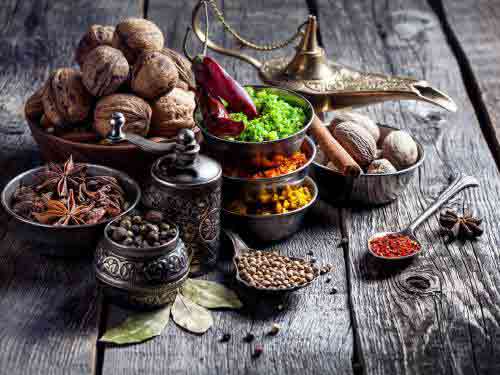 Ayurveda Study