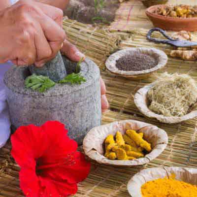 Ayurveda Teacher Training