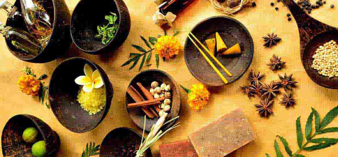 ayuvedic herbs species in india